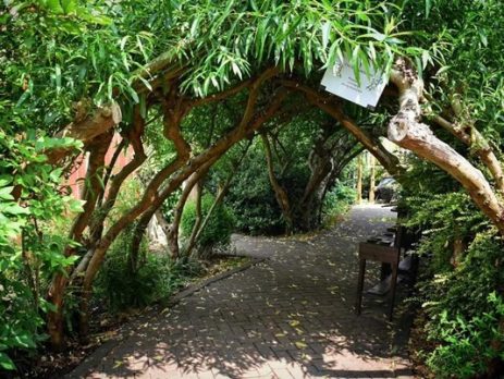 community-garden-to-celebrate-27-years-of-support-for-local-communities-with-special-open-day
