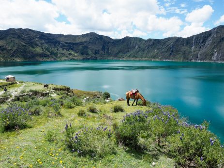 travel-advice-for-ecuador
