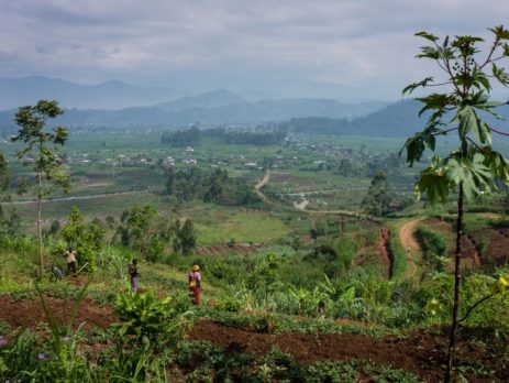 travel-advice-for-rwanda