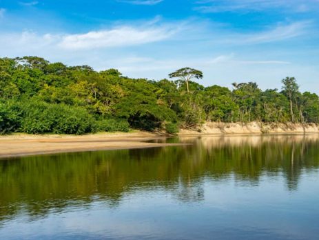 travel-advice-for-guyana