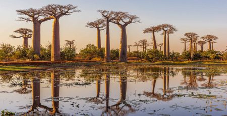 travel-advice-for-madagascar