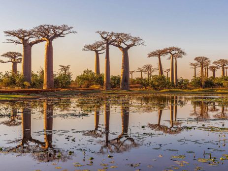 travel-advice-for-madagascar