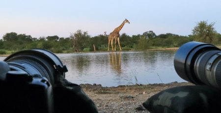 travel-advice-for-kenya