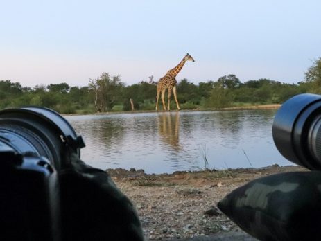 travel-advice-for-kenya