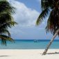 travel-advice-for-cayman-islands