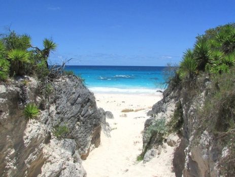travel-advice-for-bermuda