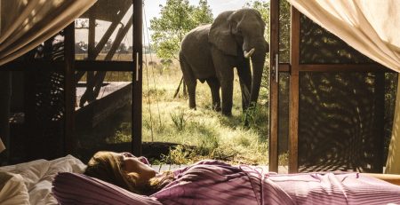 travel-advice-for-botswana