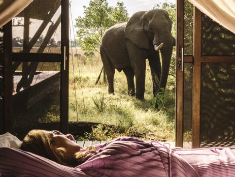 travel-advice-for-botswana