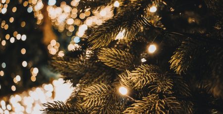 free-festive-fun-thanks-to-hull-training-and-adult-education