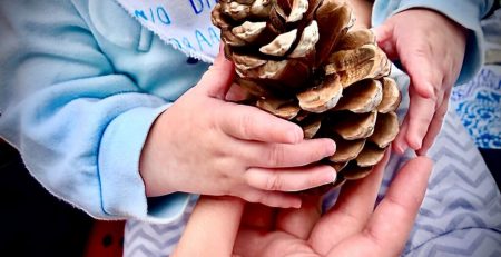 hull-museums-and-phoenix-families-cic-nominated-for-regional-award