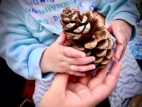 hull-museums-and-phoenix-families-cic-nominated-for-regional-award