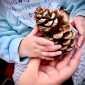hull-museums-and-phoenix-families-cic-nominated-for-regional-award
